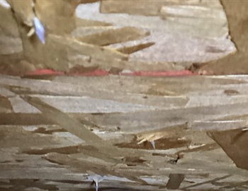 Gas Leak Found After New Roof in Champlin